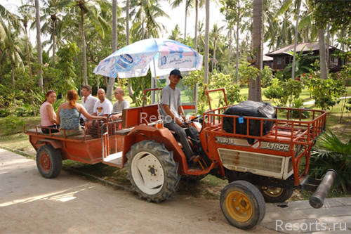 Ban Raya Resort & Spa 7